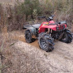 1998 Honda Trx 300 fw