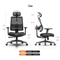 Office Chair 