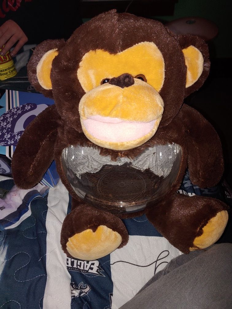 Teddytank monkey