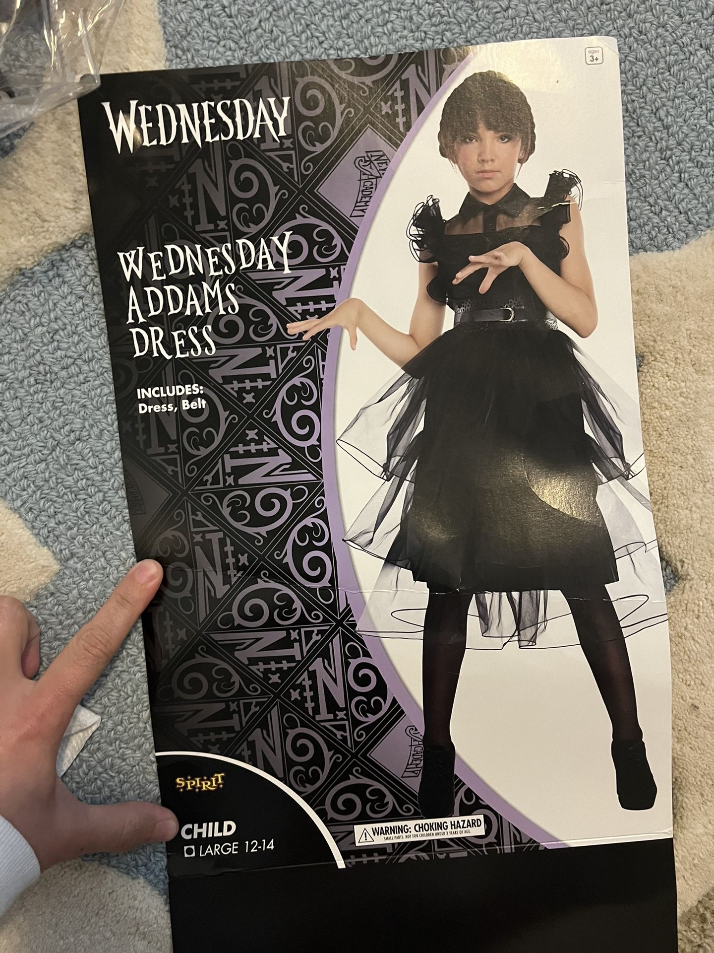 Wednesday Addams costume