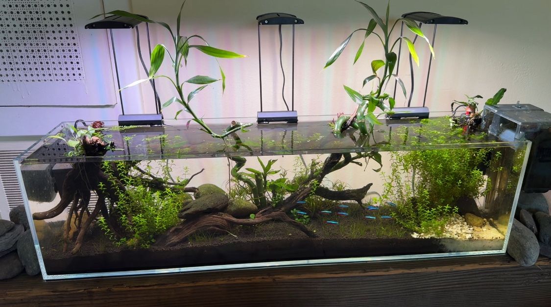 12 Gallons Fresh Water Tank. This Os Not A Tank , It’s an Art!