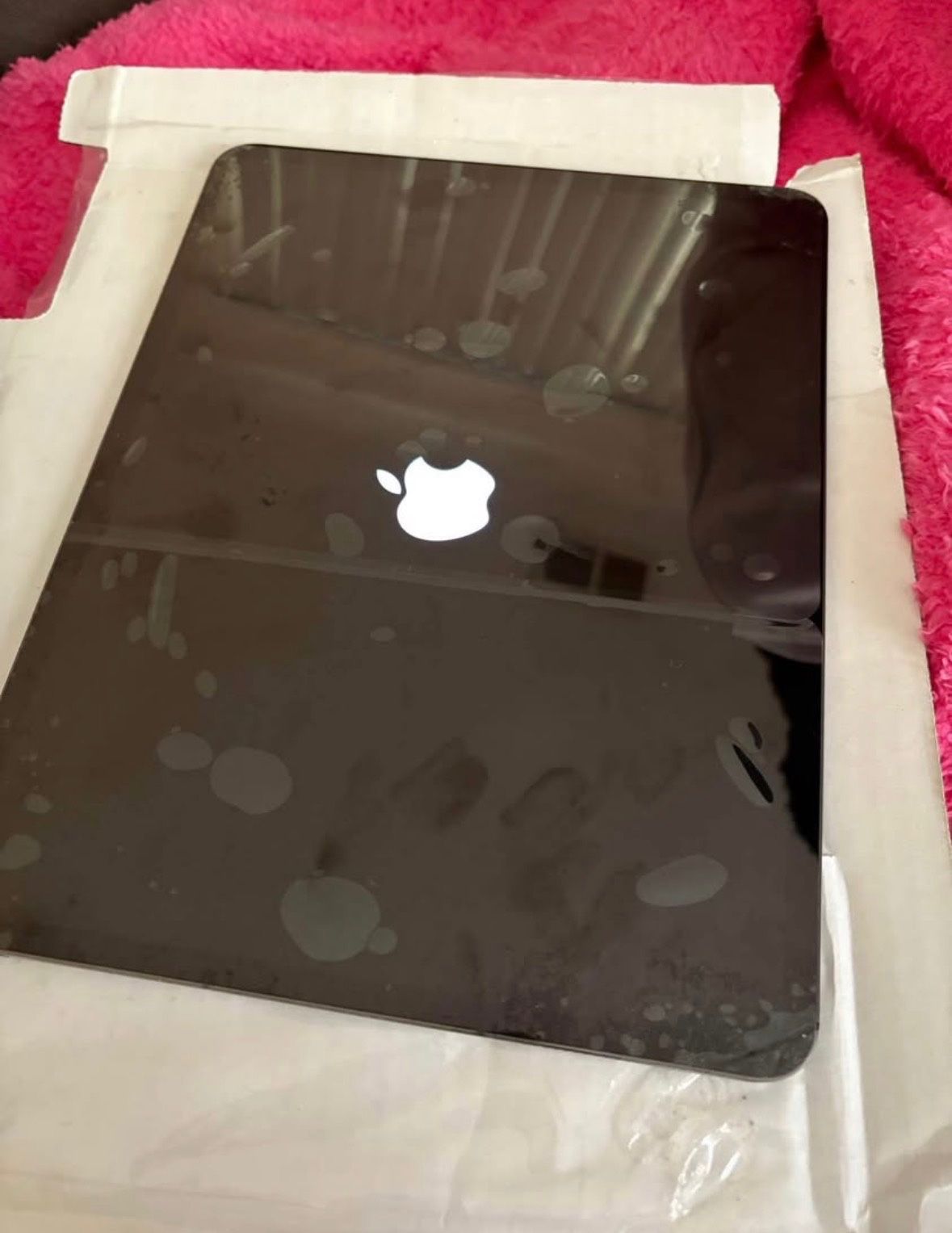 iPad Pro 13 inch M4 Wi-Fi plus cellular 512 GB