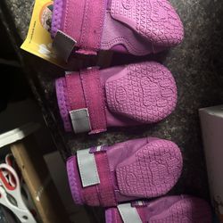 Dog Boots