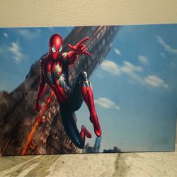 Spider man canvas