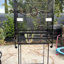 Bird Cage 