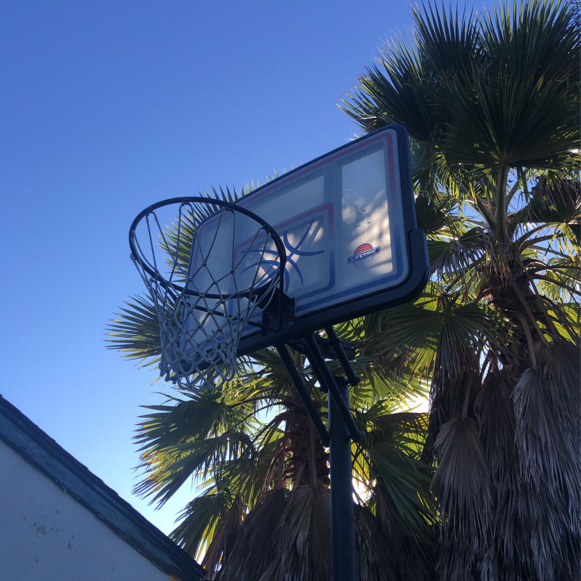 Basketball Hoop 46in