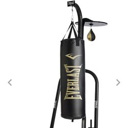 Everlast Boxing Setup