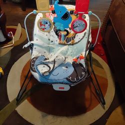 Fisher-Price Baby’s Bouncer