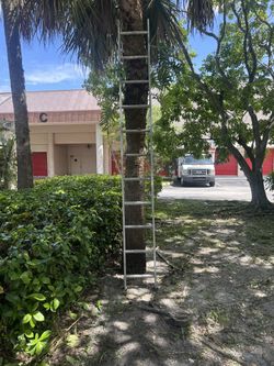 Ladder
