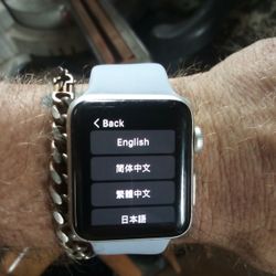 Apple Watch Gray Wrist Band 