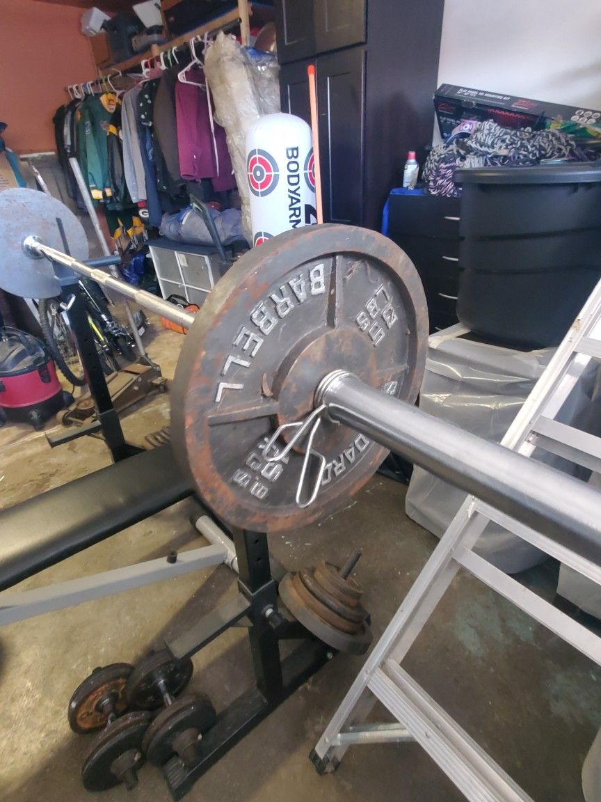 Olympic Barbell And Bench Set Weights Included