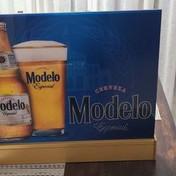 Modelo Especial 