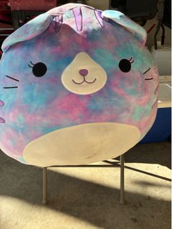 24 in Squishmallows