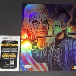 🔥 Sting autographed 8x10 JSA COA 🔥