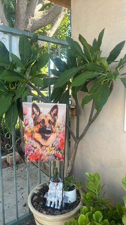 Planta