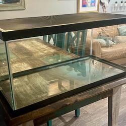 40 Gallon Breeder with lid 