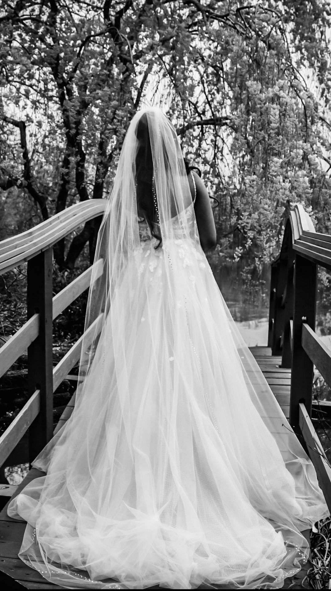 Willowby Wedding Dress