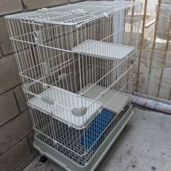 Bird Cage 