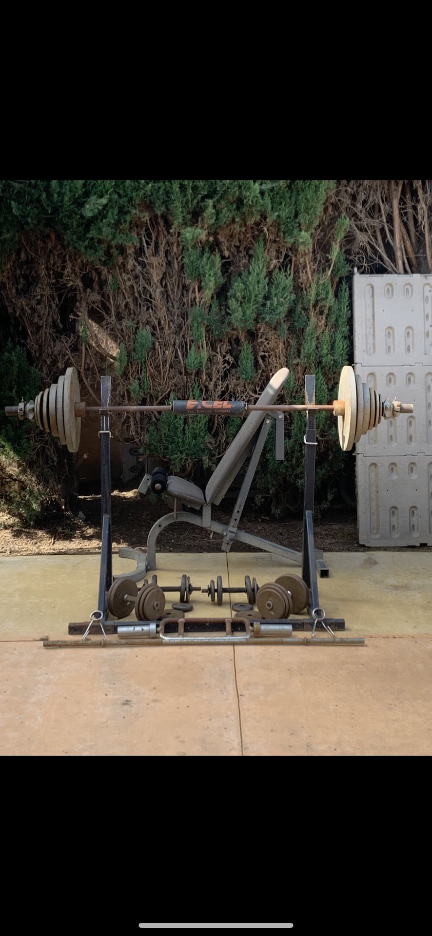 Bench Press, Weights, Dumbbells 