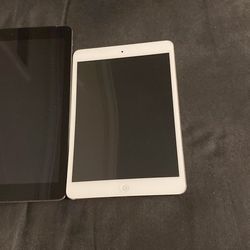 iPad mini