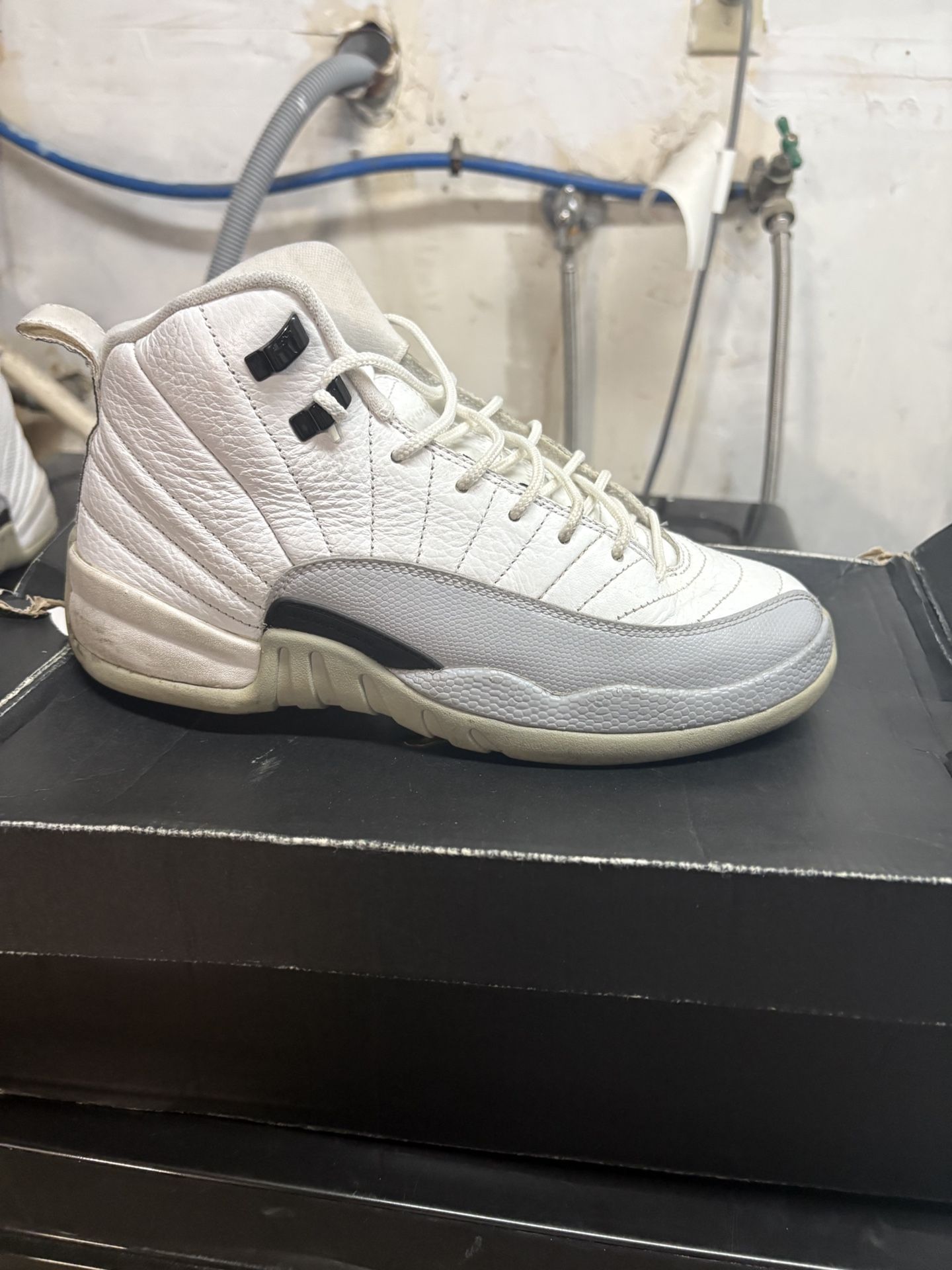 Sz8 Wolf Grey12s
