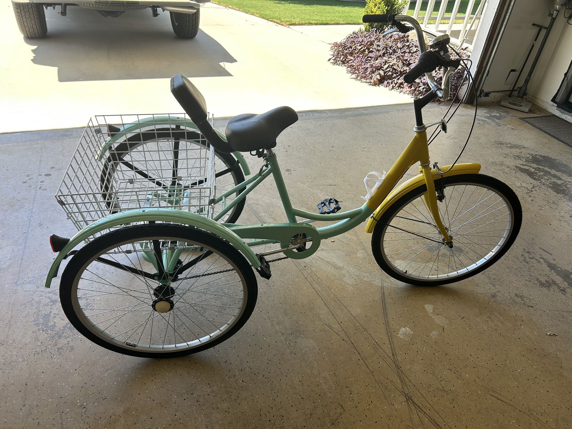Adult Tricycle