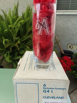 .4 Liter Beer Tumblers