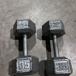 35lb Dumbbells 