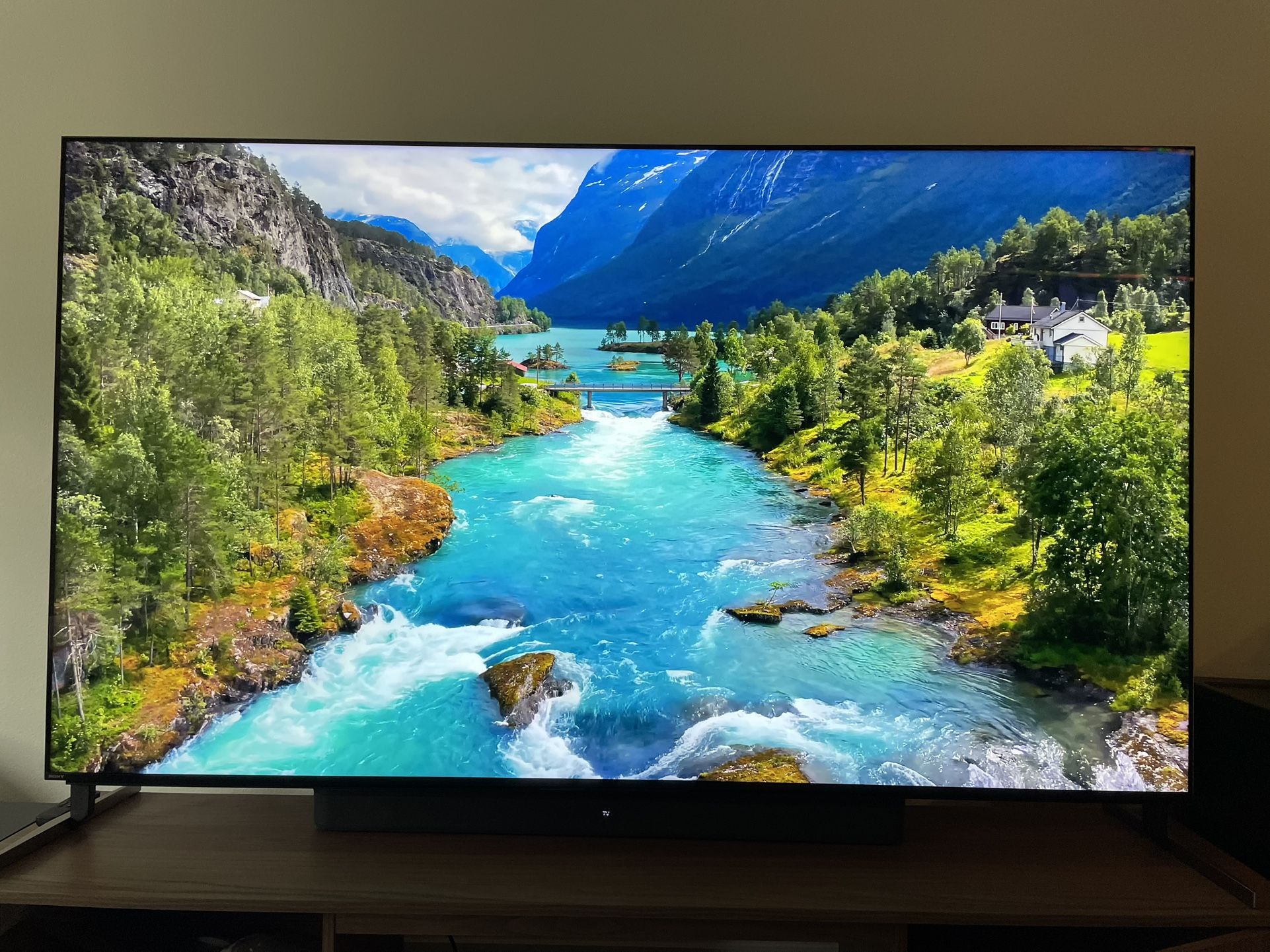 Sony 75’ X93L (selling due to relocation)
