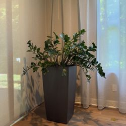 Self Watering Planter/ Large