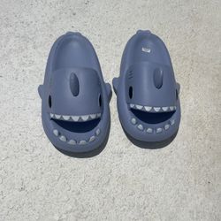 Shark Shoes