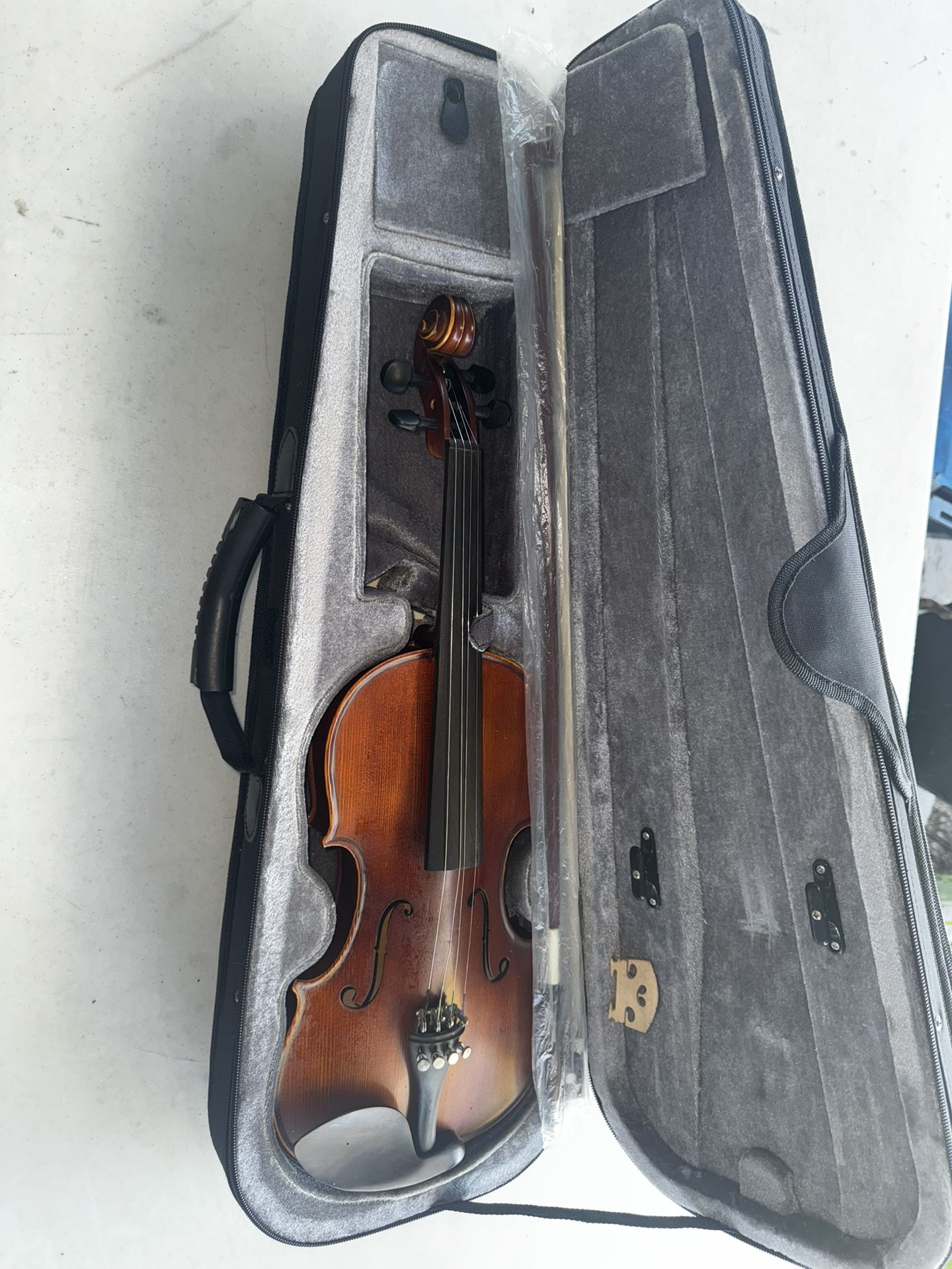 Violin