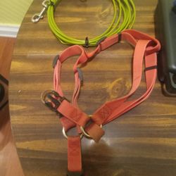 Dog Harness W/ 25 Ft Tether For Medium To Large Dogs