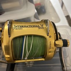 Penn 70 w reel vs 2 speed