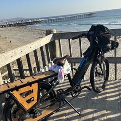 Magnum Payload Horse! 