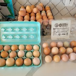 Eggs Eggs 12, 18 Or 24.. In Mckinney