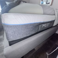 Temper-Pedic Queen Adjustable Bed