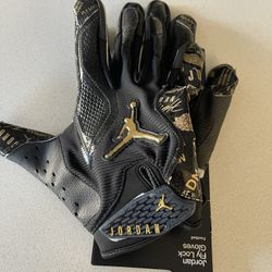 Jordan Football Gloves (Adult/LG)