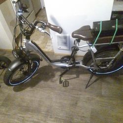 Radrunner Plus E Bike 750W 48V Seven Speed