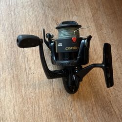 Abu Garcia Reel