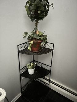 Corner Shelf