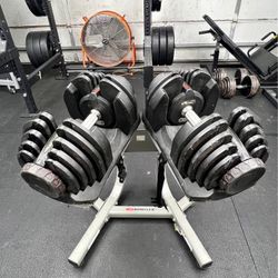 Bowflex/1090/dumbbells