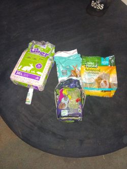 Guinea Pig Stuff