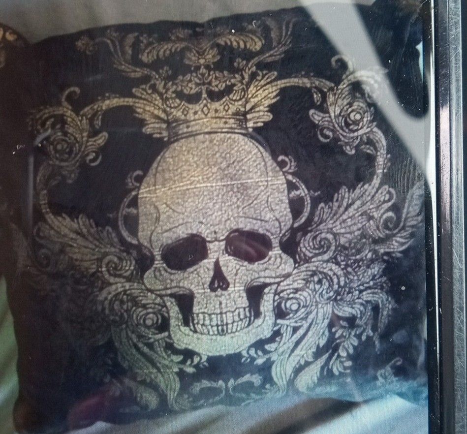 Skull Pillow Good Condition $7.00