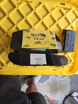 Mechanical and Electronic mouse trap