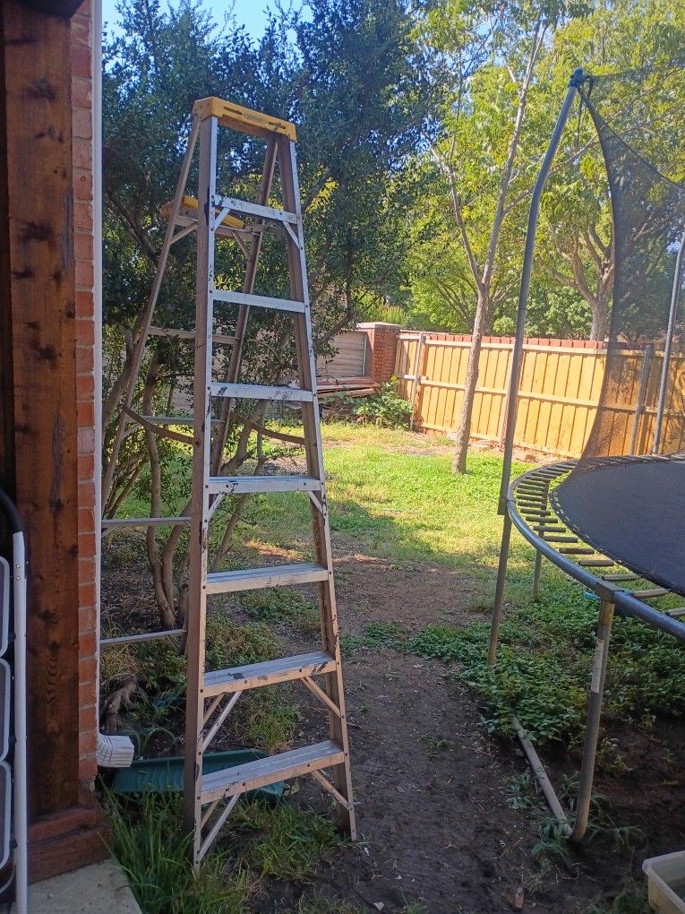 8ft Aluminum Ladder