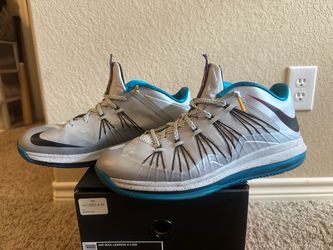 LeBron 10