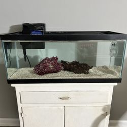 20 Gallon Fish Tank