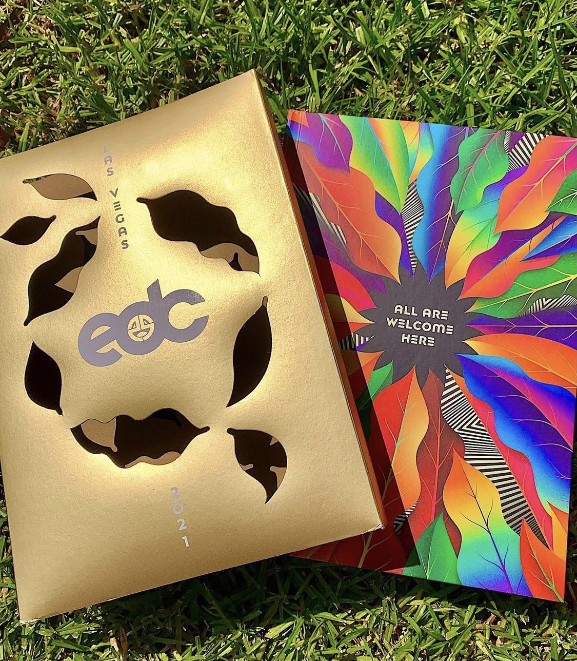 EDC Las Vegas 2021