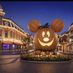 Disneyland & California Adventures Tickets